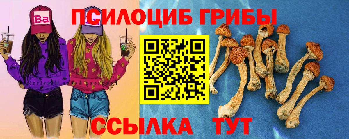 Псилоцибиновые грибы мухоморы Новоалтайск