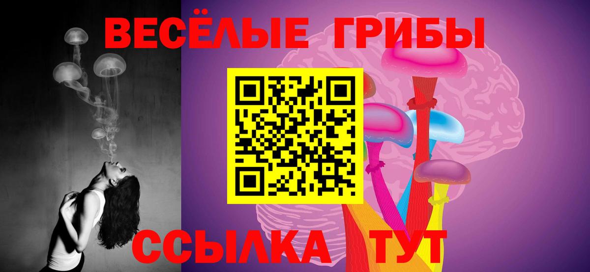 Галлюциногенные грибы Psilocybine cubensis  Вход с VPN  Новоалтайск 